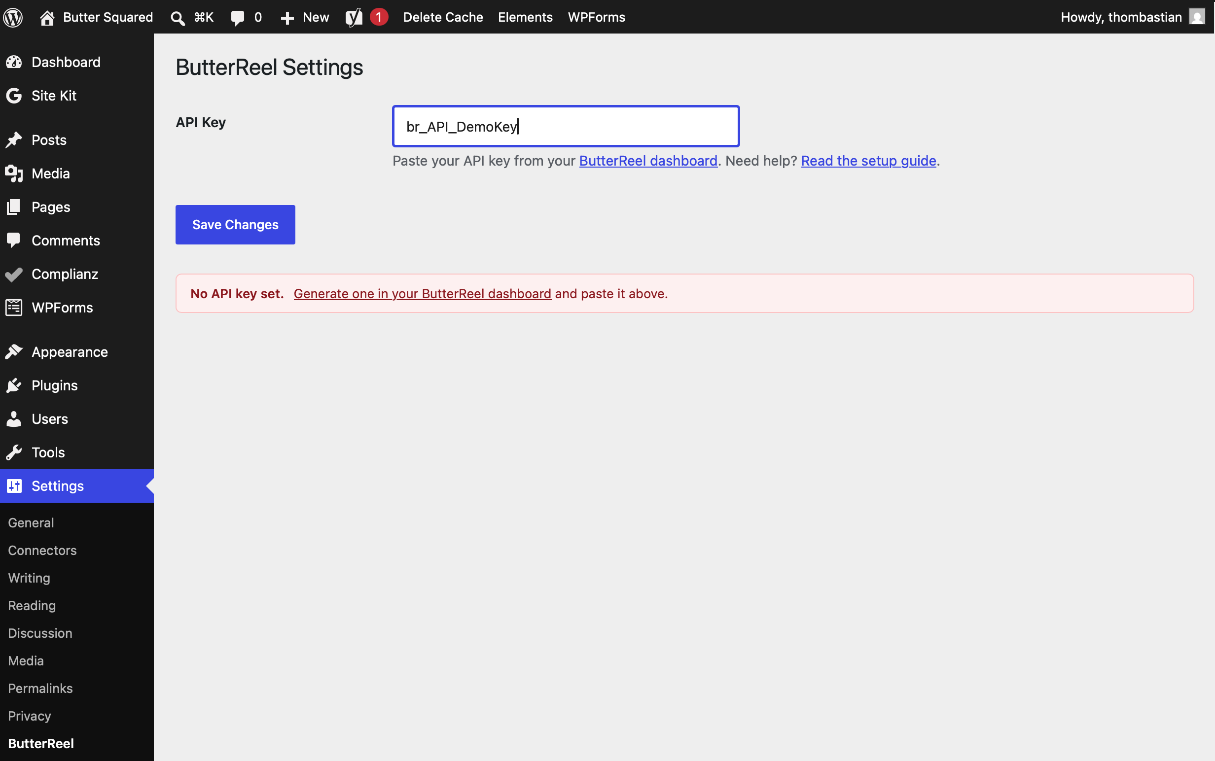 WordPress ButterReel settings page with API key pasted